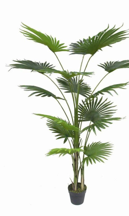 Artificial Plants-Fan Palm 120 cm / 4.0 ft