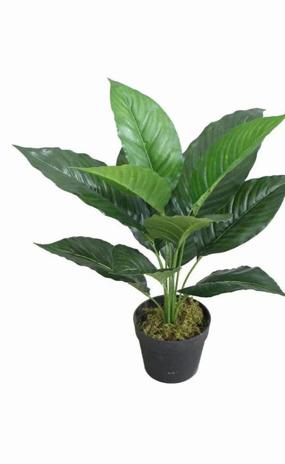 Artificial Plant - Anthurium