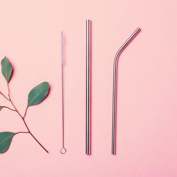 Reusable Steel Straw