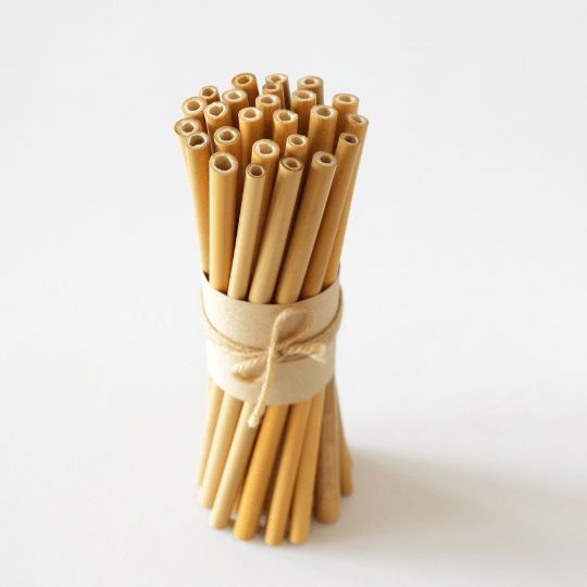 Eco-Friendly Products - Bamboo Straw & Cleaning Brush