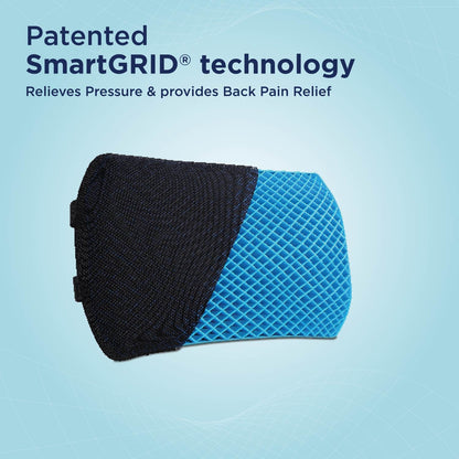 Smart Back Cushion