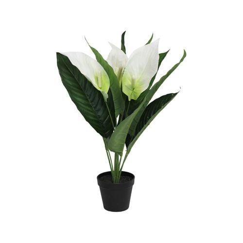 Artificial Plant- Anthurium Peace Lilly