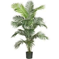 Artificial Plant - Areca Palm