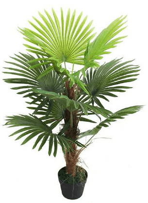 Artificial Plants-Fan Palm 90 cm / 3.0 ft