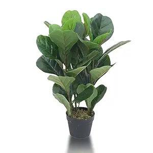 Artificial Plants-Fiddle Fig