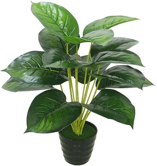 Artificial Betel Plants