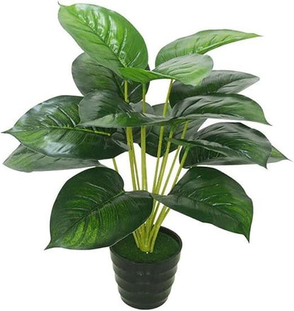 Artificial Betel Plants