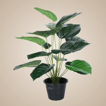 Artificial Betel Plants