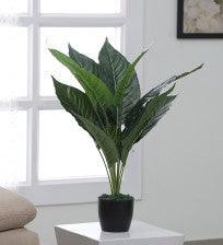 Artificial Plant - Anthurium