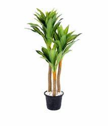 Artificial Plant - Dracaena