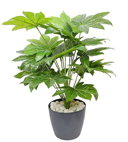 Artificial Plants-Japan Fatsia 45 cm / 1.5 ft