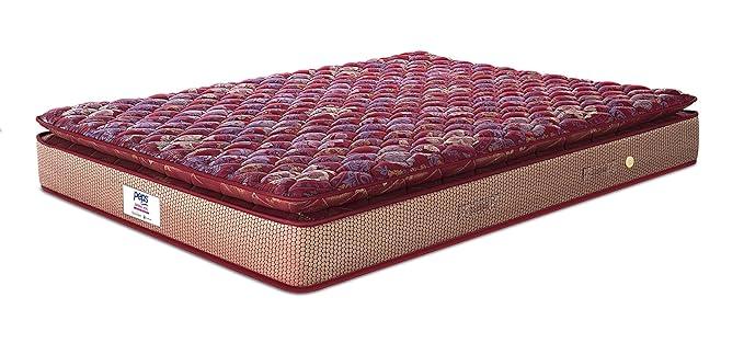 peps Springkoil Bonnell Pillow Top 8-inch Single Size Spring Mattress (Maroon, 72x36x08) with Free Pillow