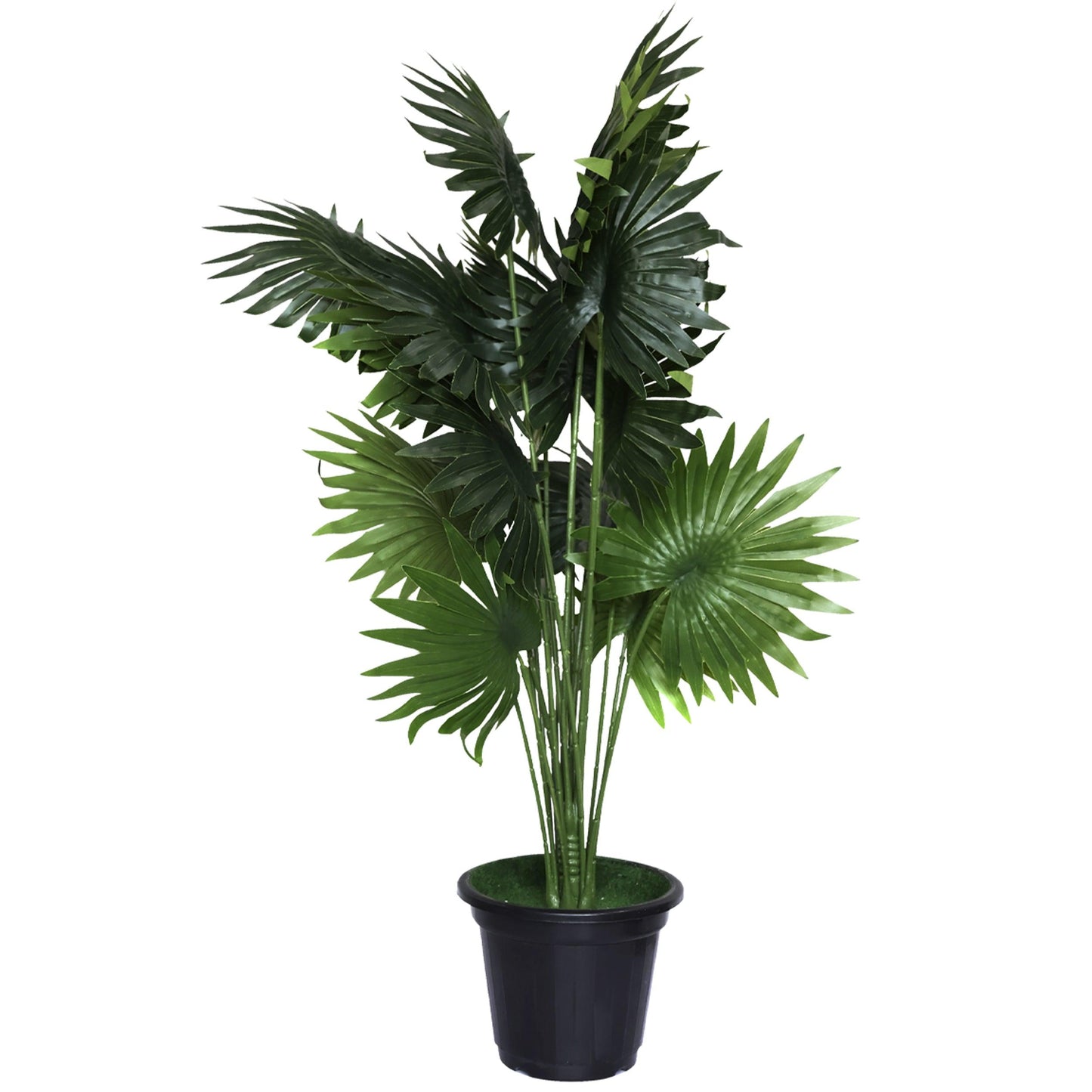 Artificial Plants - Fan Palm