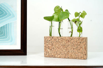 Cork Test Tube Planters-Test Tube Planter 7