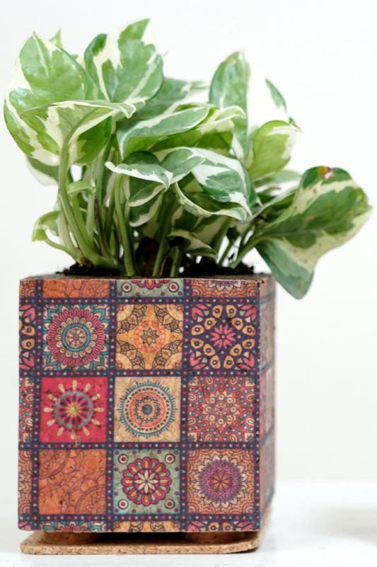 Cork Table Top Planters - Box Print Planter - Product code: 9C23301  - 10 X 10 CMS