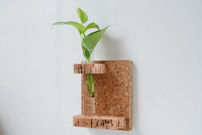 Wall Mounted Testtube Planter