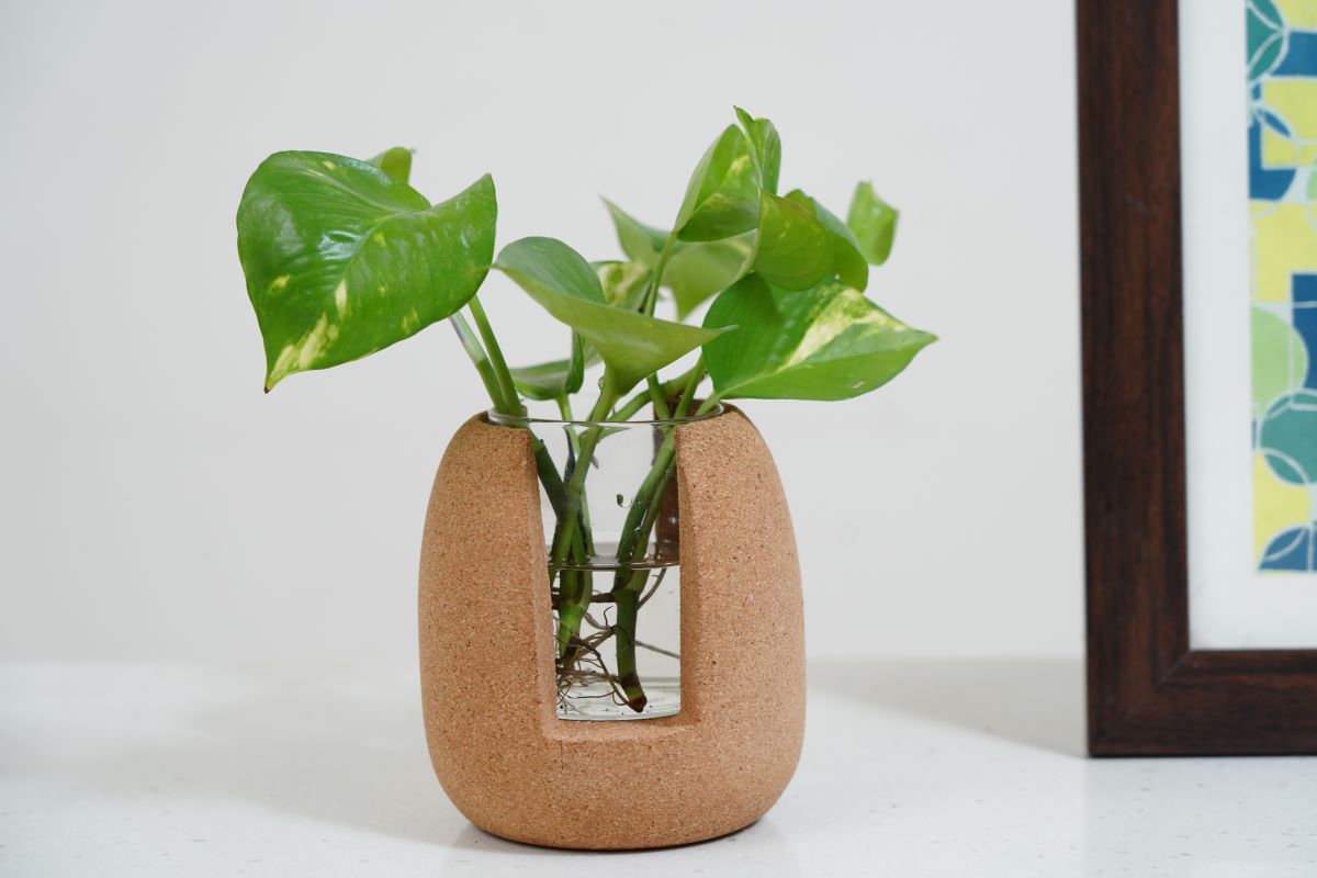 Cork Test Tube Planters-Test Tube Planter 1