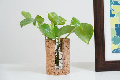 Cork Test Tube Planters-Test Tube Planter 3