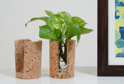 Cork Test Tube Planters-Test Tube Planter 3