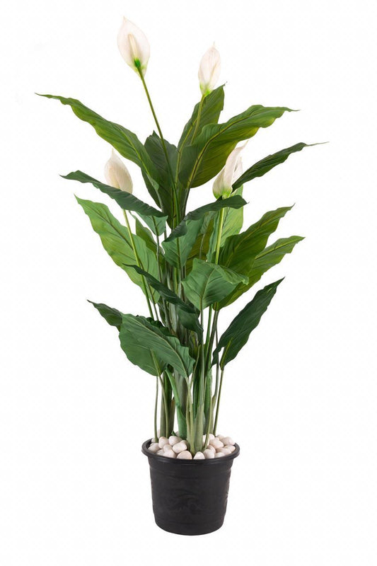 Artificial Plant - Anthurium Peace Lily (115 cm / 3.8ft)