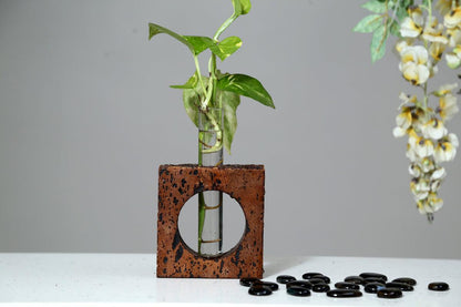 Cork Test Tube Planters-Bark Planter