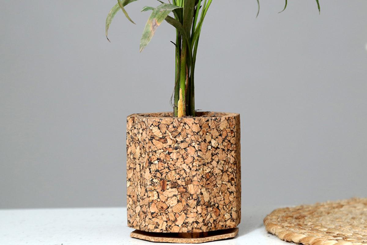 Cork Table Top Planters - Natural Grain Planter - Product code: 9C23310 - 10 X 10 CMS