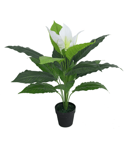 Artificial Plant - Anthurium Peace Lily