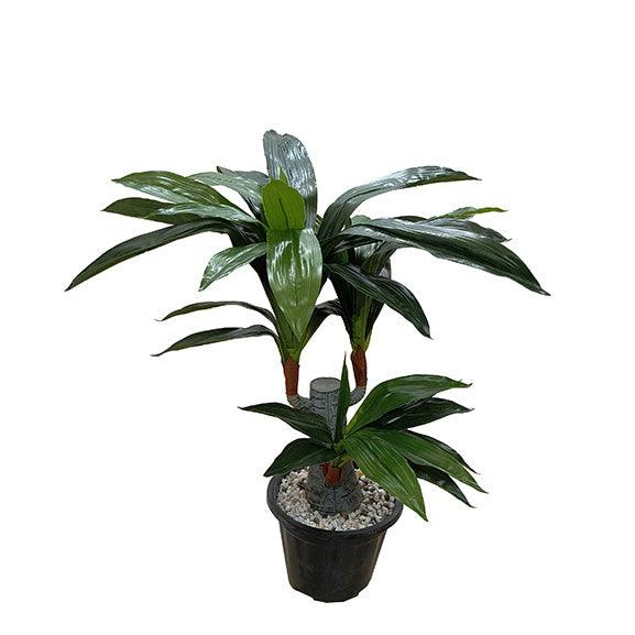 Artificial Plants Dracaena