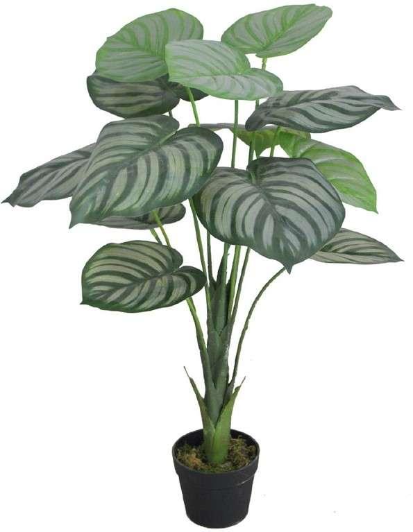 Artificial Plant - Apple Green Plant (85 cm\ 2.8 ft)