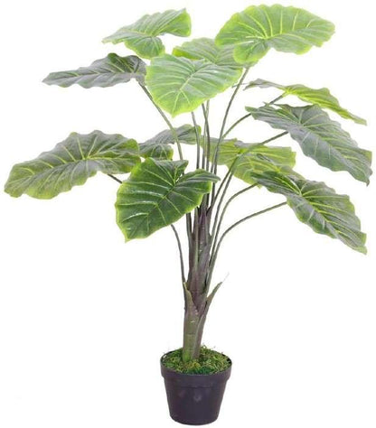 Artificial Plant - Alocasia