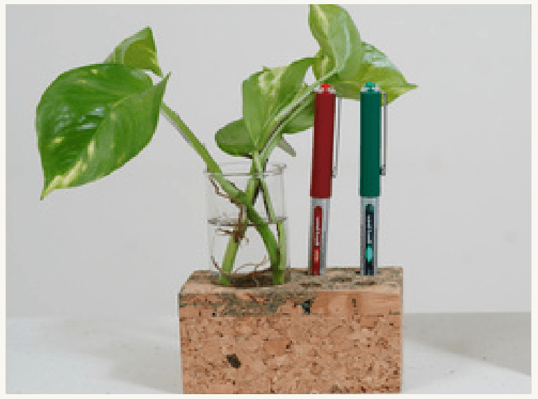 CORK DESKTOP ACCESSORIES-Textured planter cum pen holder