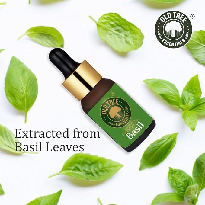 Old Tree Pure and Natural Basil Essential Oil (15ml) - for Skin, Hair Care, Stress Relief - Undiluted Essential Oil with Dropper for Aromatherapy and Relaxation