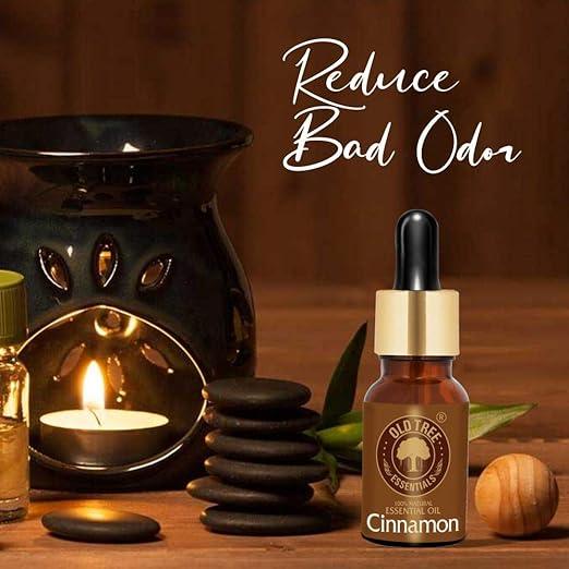 Old Tree Pure Cinnamon Essential Oil (15ml) - for Skin, Reduce Dandruff, Hair Growth