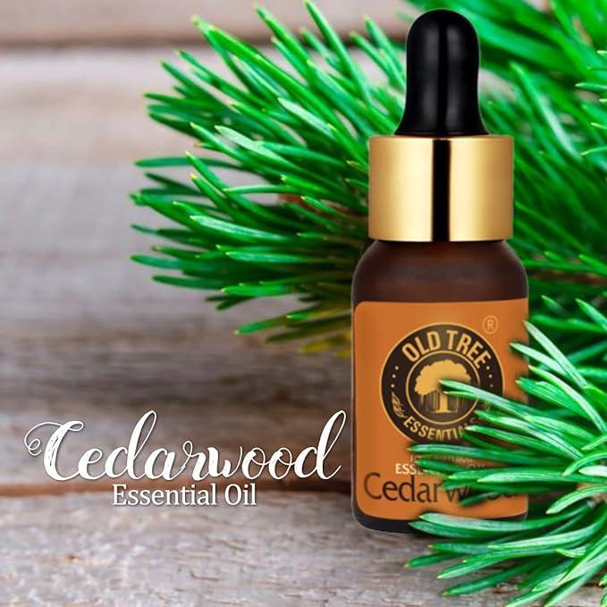 Old Tree Cedarwood Essential Oil (15ml) - for Home Fragrance, Aromatherapy, Skin, Hair, Diffuser, Candle Making - Massage Oil with Dropper for Relaxation and Soothe Muscles