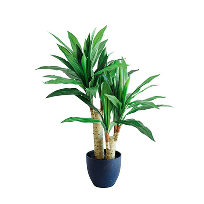 Artificial Plants Dracaena