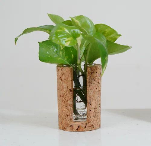 Cork Test Tube Planters-Test Tube Planter 2