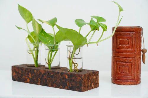 Cork Test Tube Planters-3 Hole Planter