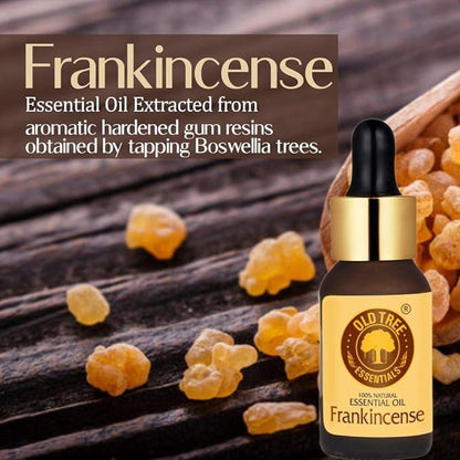 Old Tree Pure Frankincense Essential Oil (15ml) - for Muscle Pain, Spicy & Woody Fragrance