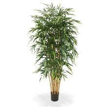 Artificial Plants Bamboo Plant (120 cm / 4 ft 800)