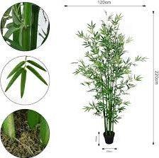 Artificial Plants Bamboo plant(160 cm / 5.3 ft)