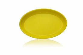 Serving Plate - Rice Plate  ( 11" X 14")