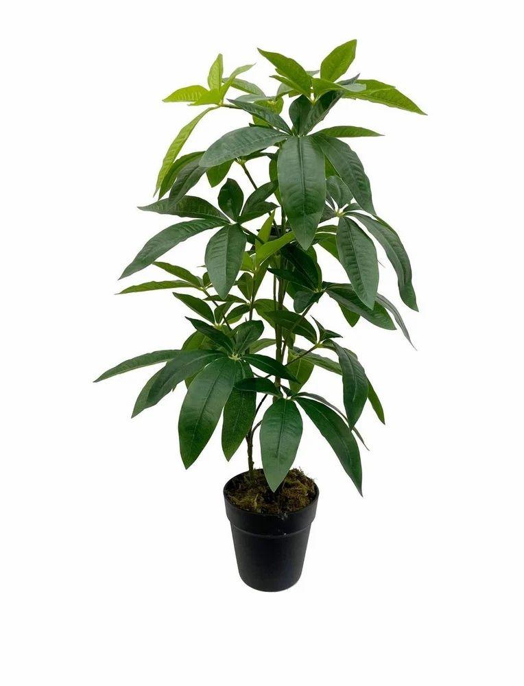 Artificial Plants-Fortune Tree(75cm)