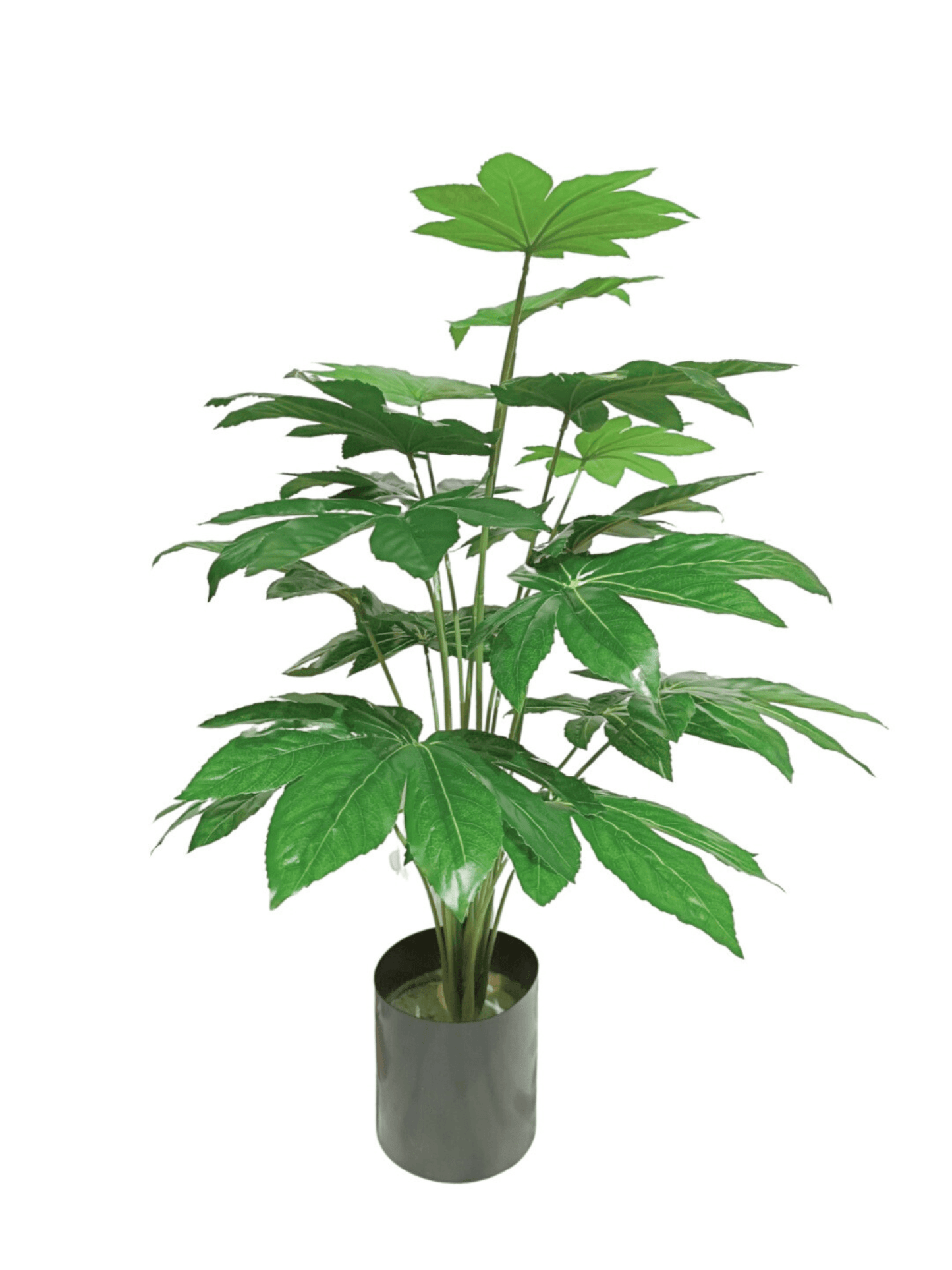 Artificial Plants-Japan Fatsia 45 cm / 1.5 ft