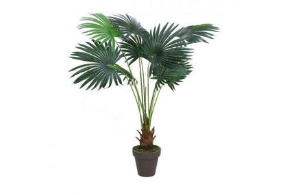 Artificial Plants - Fan Palm